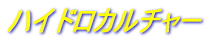 �n�C�h���J���`���[ 
